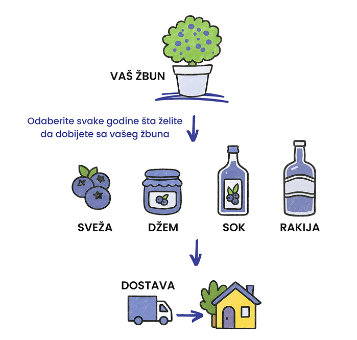 borovnice i proizvodi